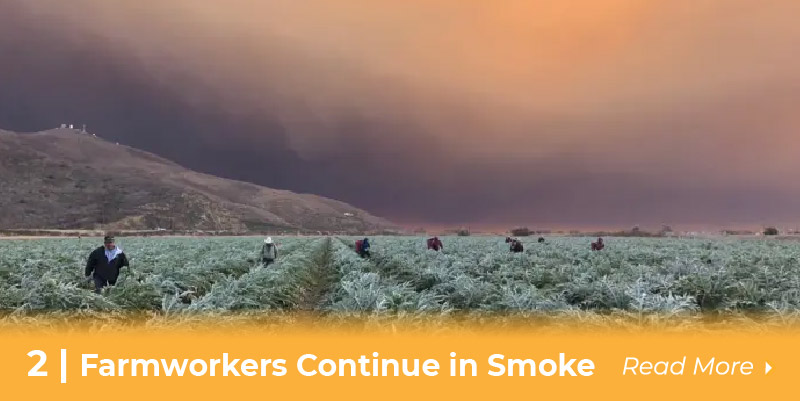 farmworkers continue in smoke