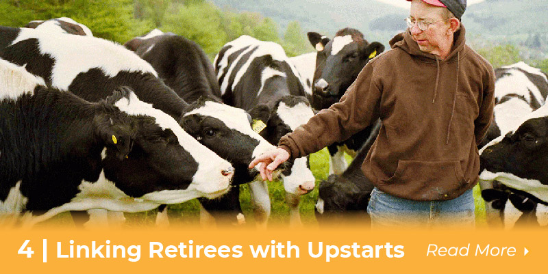 4 retirees and upstarts