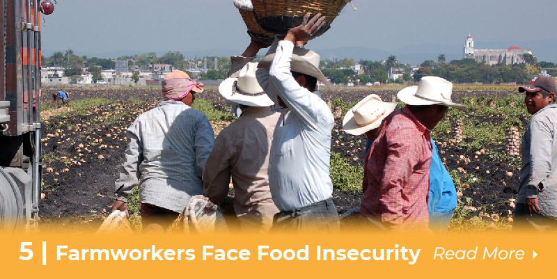 5 farmworkers face food insecurity