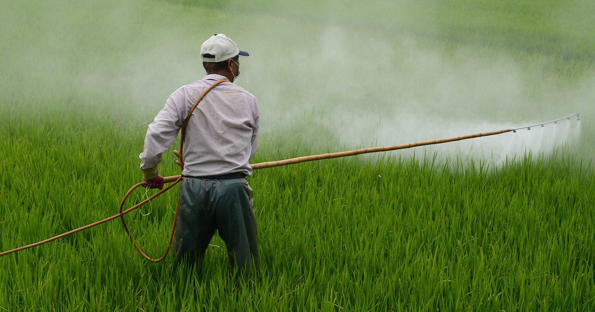 farm worker applying pesticides to field