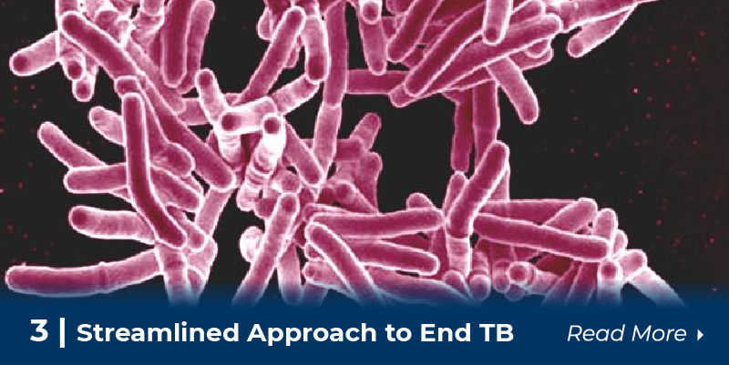 3 streamline approach to end tb