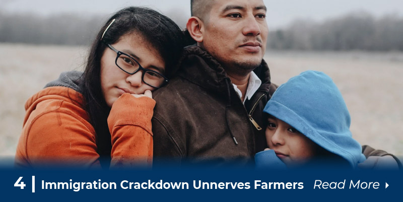 4 immigration crackdown unnerves farmers