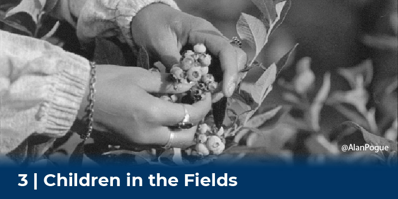 3 children in the field 3 children in the field