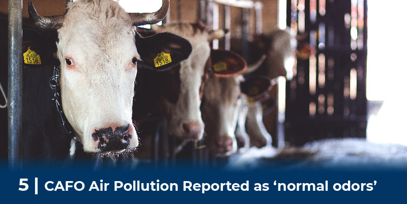 5 air pollution as normal odors 5 air pollution as normal odors