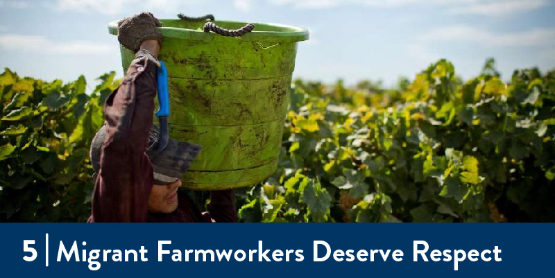 Migrant farmworkers deserve respect A farmworker in the field