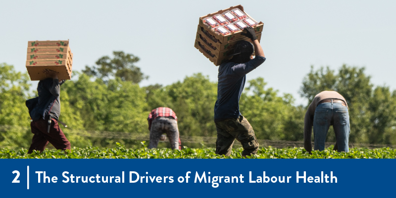 2 - The structural drivers of migrant labour health farmworkers in the field