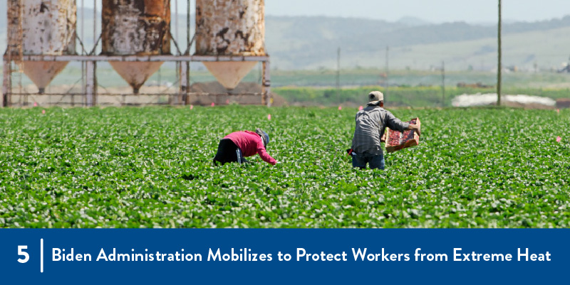 5 - Biden Administration Mobilizes to Protect Workers from Heat Farmworkers in the field