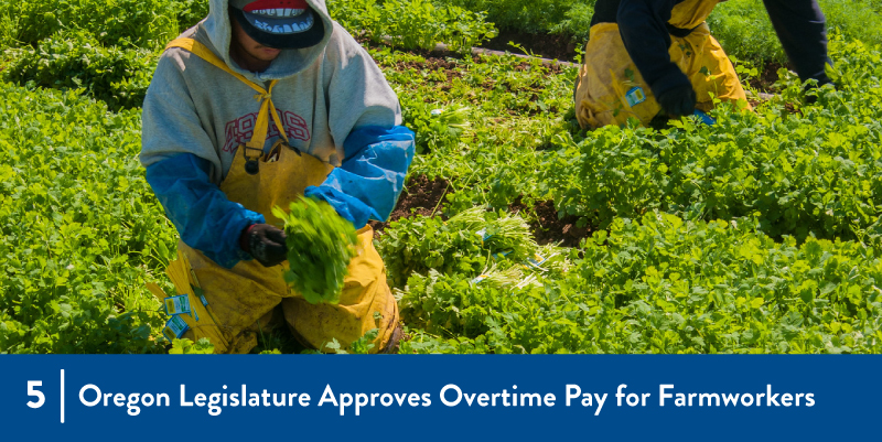 5 - Oregon Legislature Approves Overtime Pay for Farmworkers Farmworkers in the field