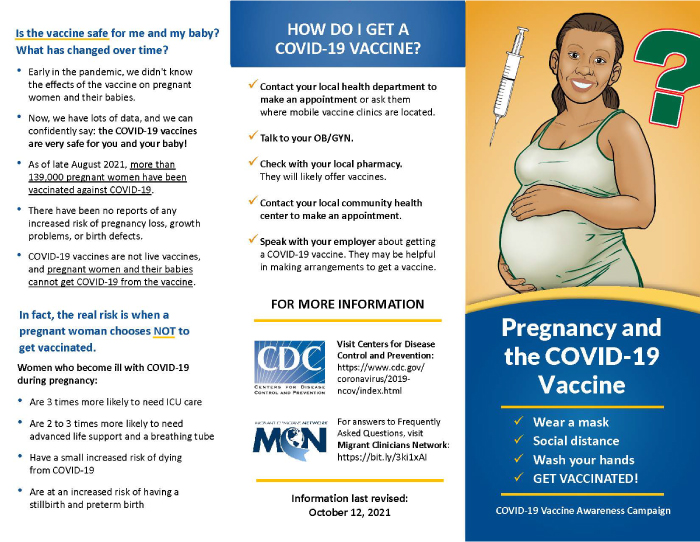 Pregnancy and Vaccination Brochure Template