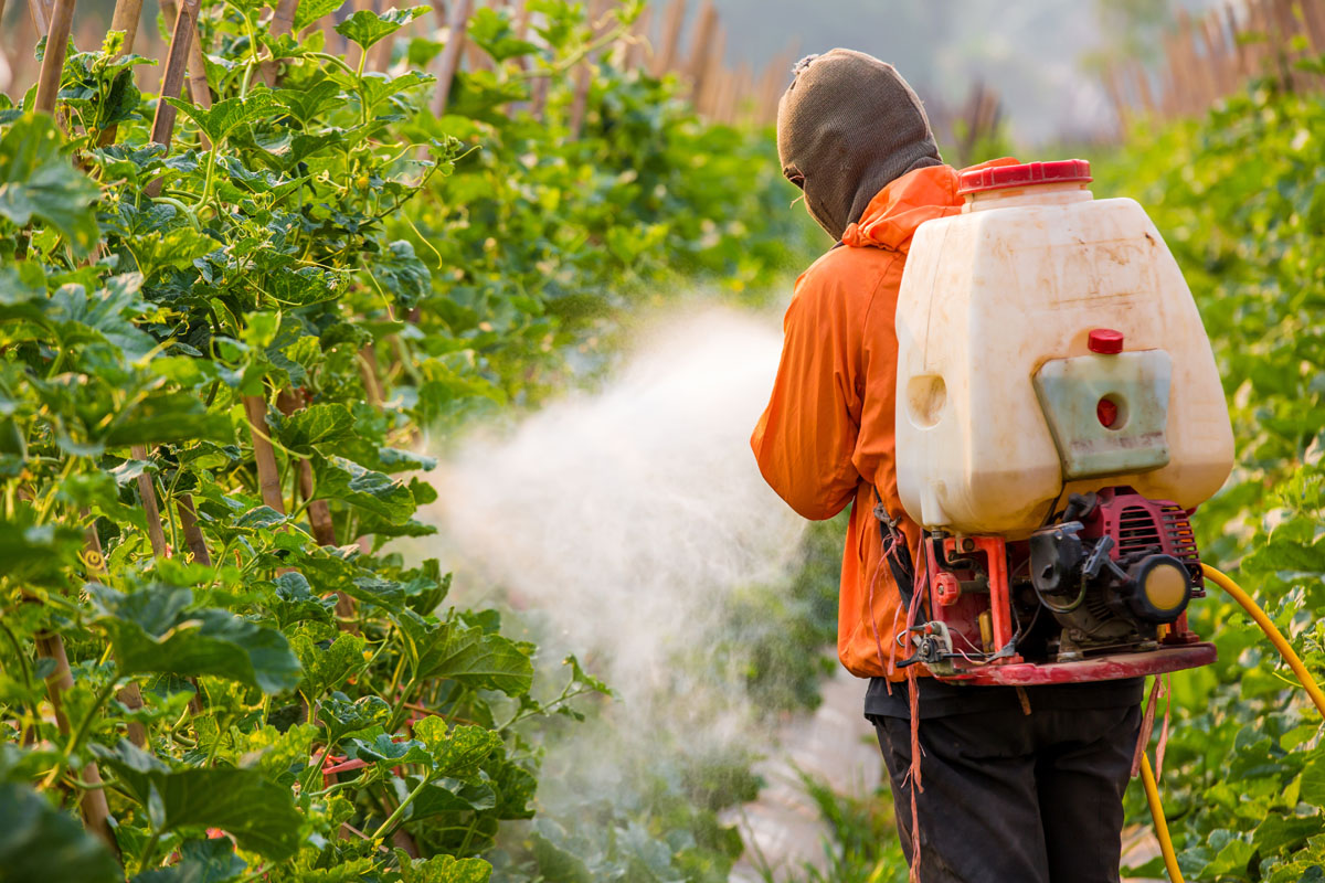 Agricultural worker spraying pesticides