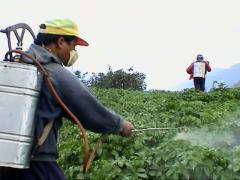 A worker sprays pesticides on crops