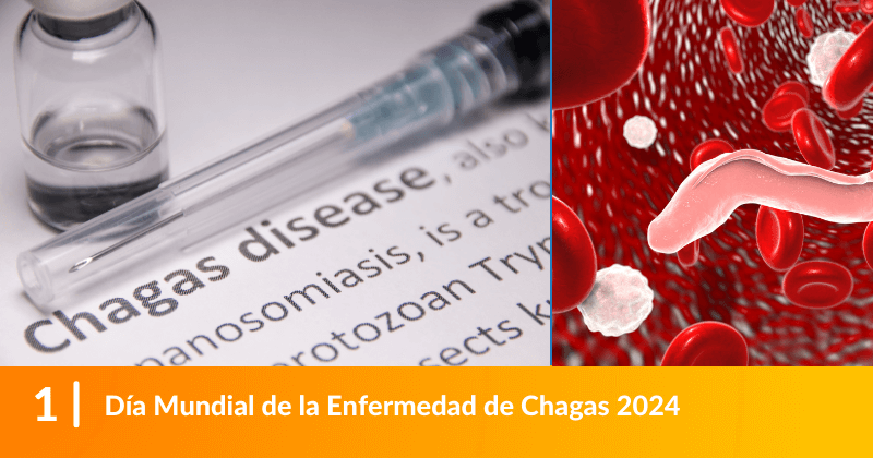Día Mundial de la Enfermedad de Chagas 2024 