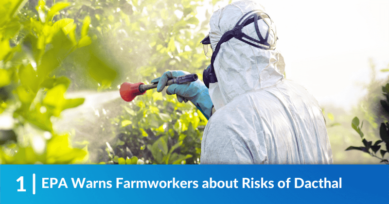 EPA Warns Farmworkers about Risks of Dacthal