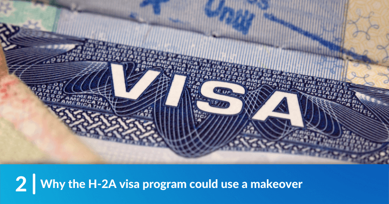 Why the H-2A visa program could use a makeover