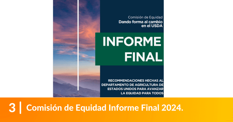 Comisión de Equidad Informe Final 2024.