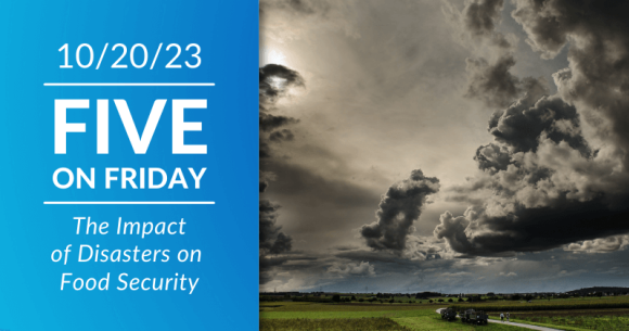 Five on Friday: The Impact of Disasters on Food Security