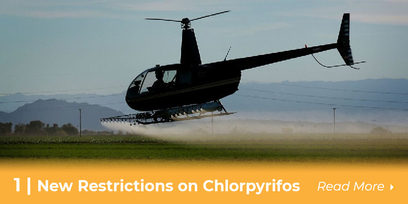 new restrictions on chlorpyrifos