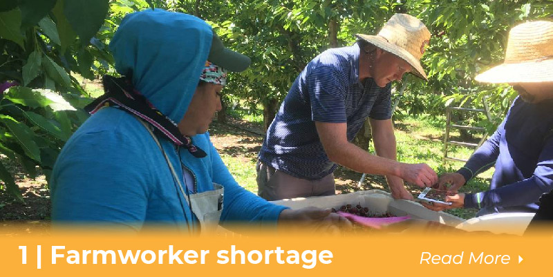 farmworker shortage