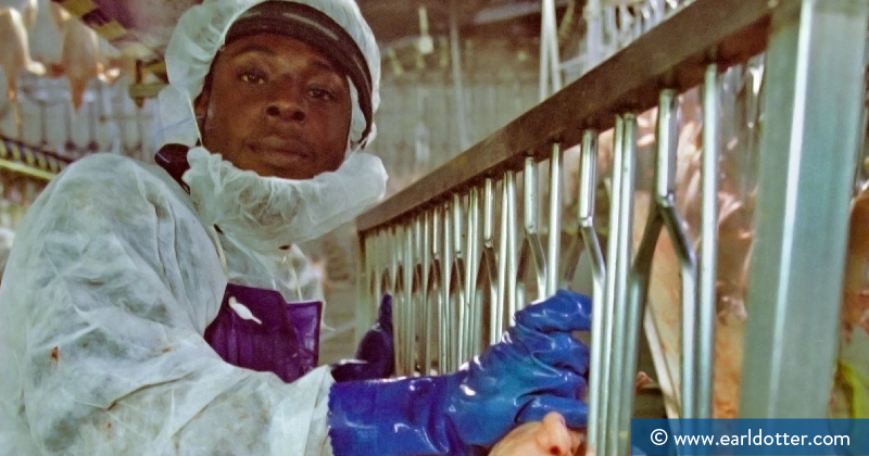 A worker in a chicken processing plant