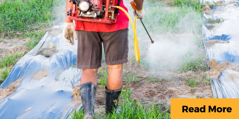 Man spraying pesticide in field