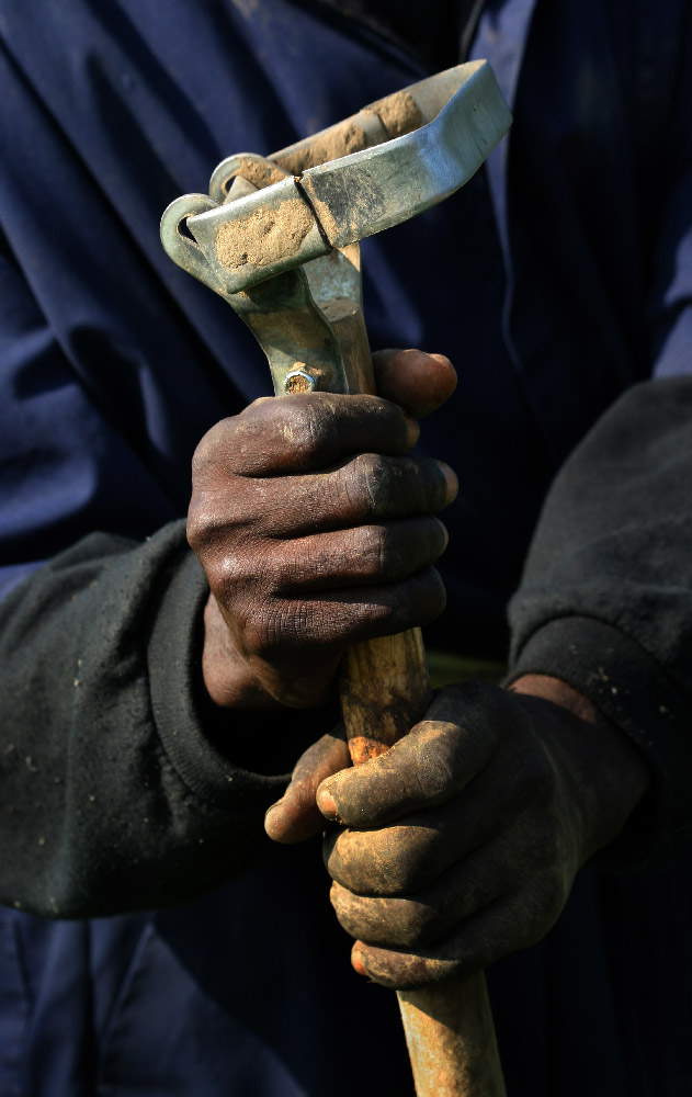 farmworker holding tool