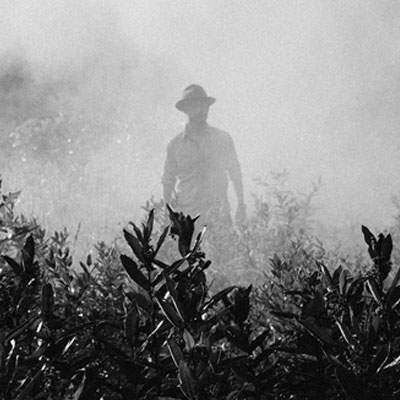 man standing in field of smoke