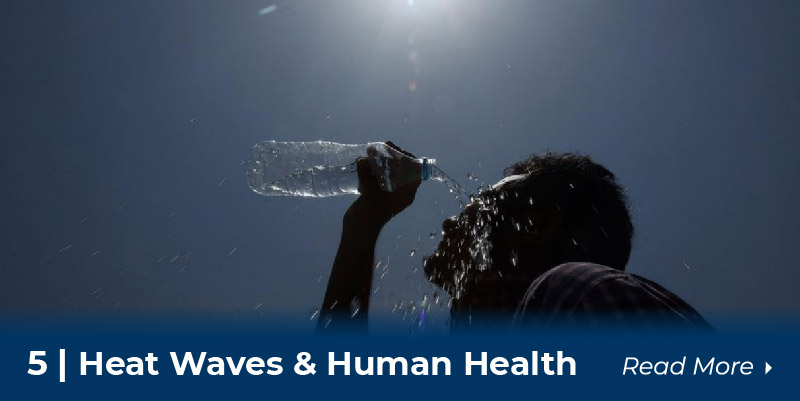 5 heat waves and human health
