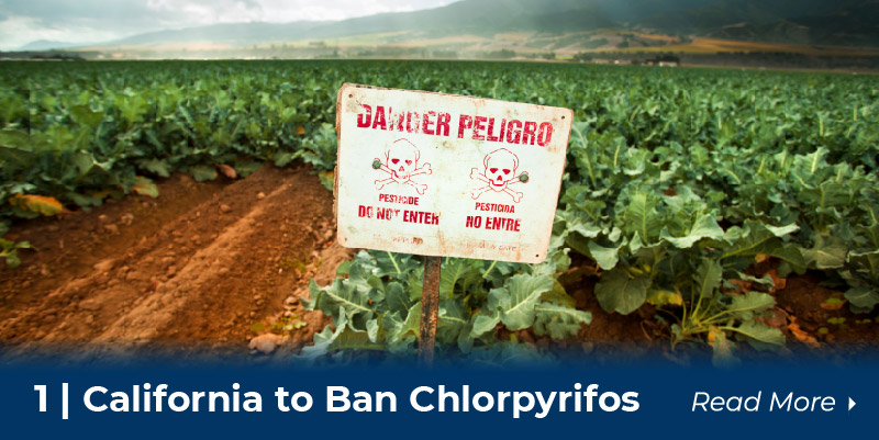California to Ban Chlorpyrifos