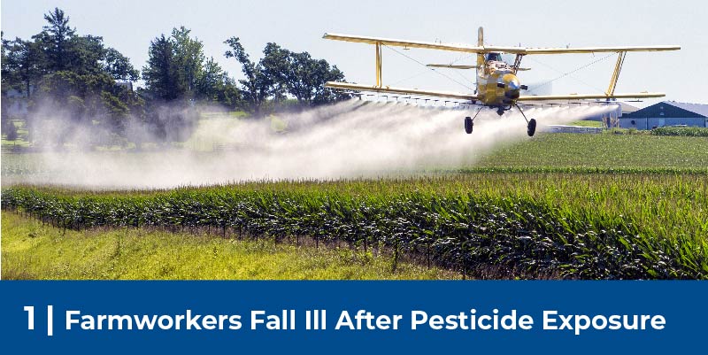 Plane sprays pesticides on field