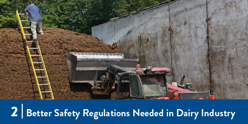2 Better Safety Regulations Needed in Dairy Industry