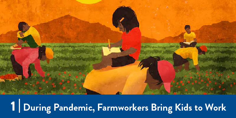 Illustration of kids on backs of farmworkers