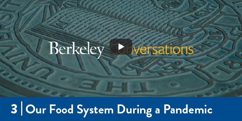 The Berkeley Conversations logo