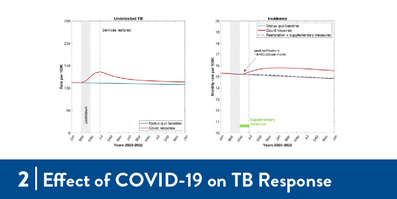 Graphs about impact of Covid on TB response