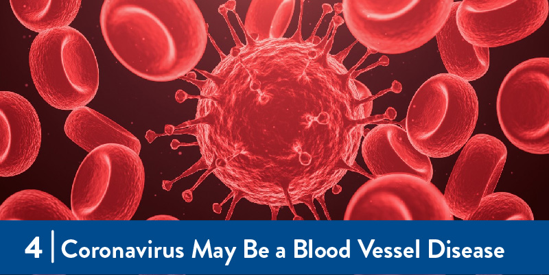 An illustration of coronavirus and blood cells