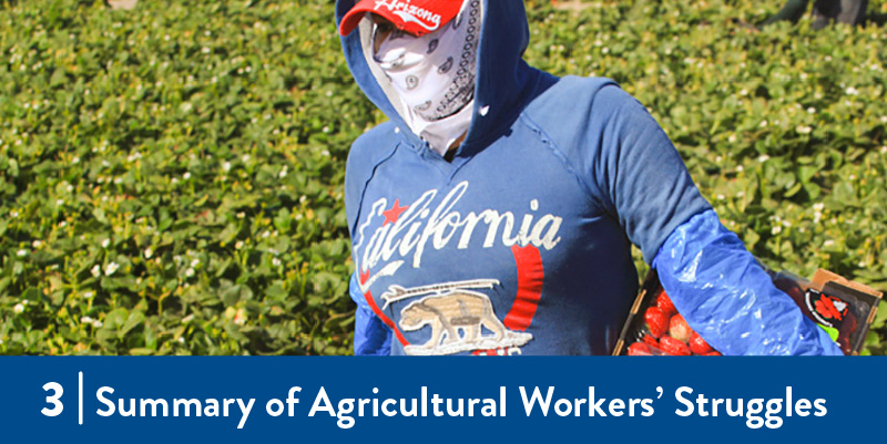 A farmworker wearing a bandana and carrying strawberries