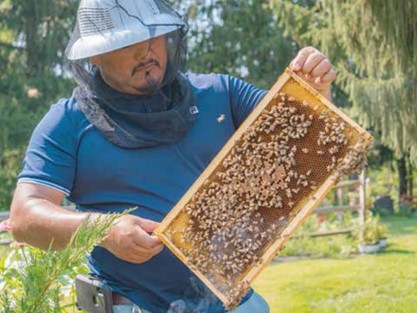 A farmer gathers honey