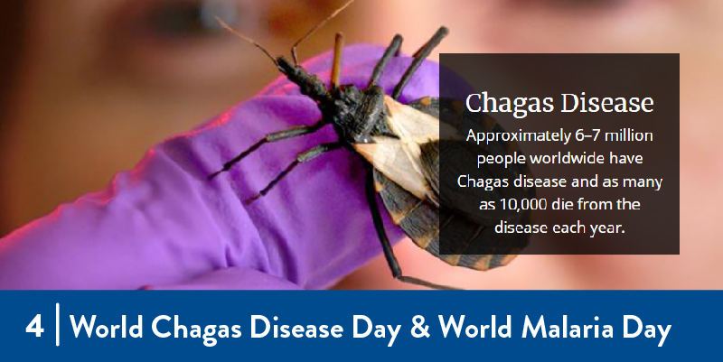 Chagas Disease CDC graphic