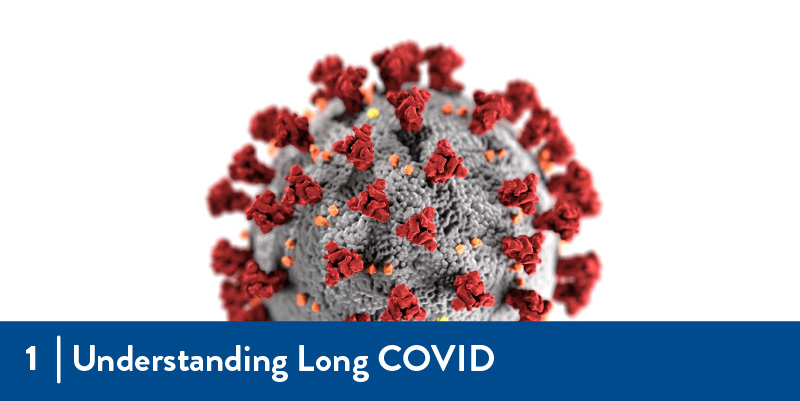 The COVID-19 Virus