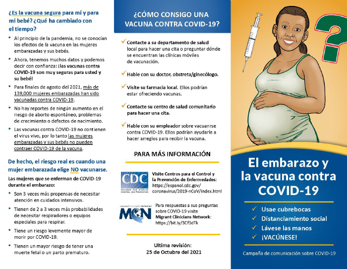 Pregnancy and Vaccination Brochure Template