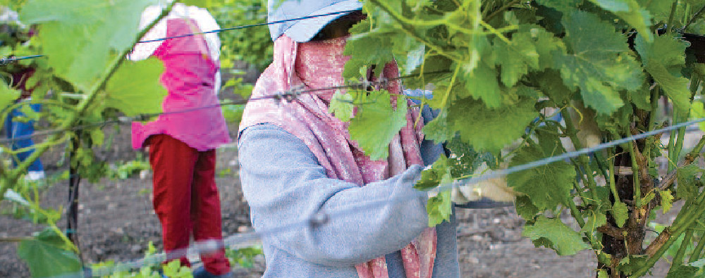 Mobile Mexican workers TB