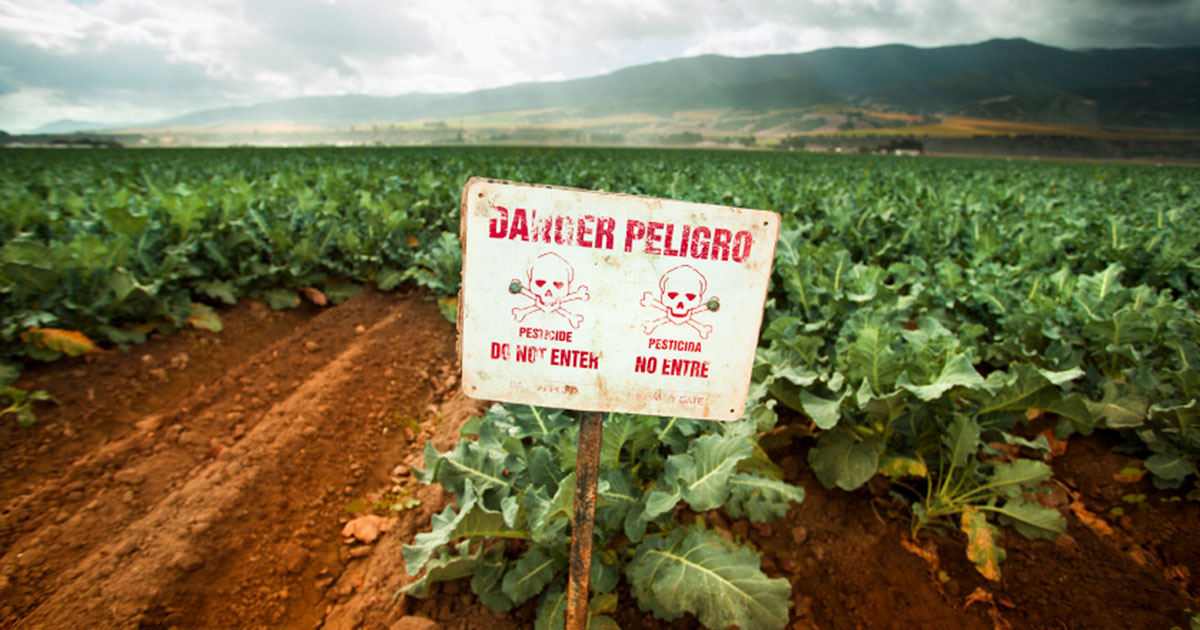 Pesticide Danger Sign