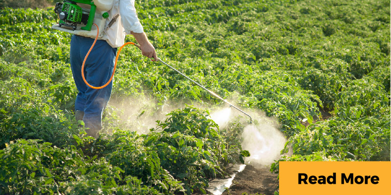 Man sprays pesticide on crops