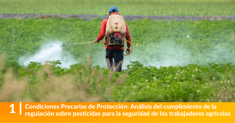 Condiciones Precarias de Protección: Análisis del cumplimiento de la regulación sobre pesticidas para la seguridad de los trabajadores agrícolas