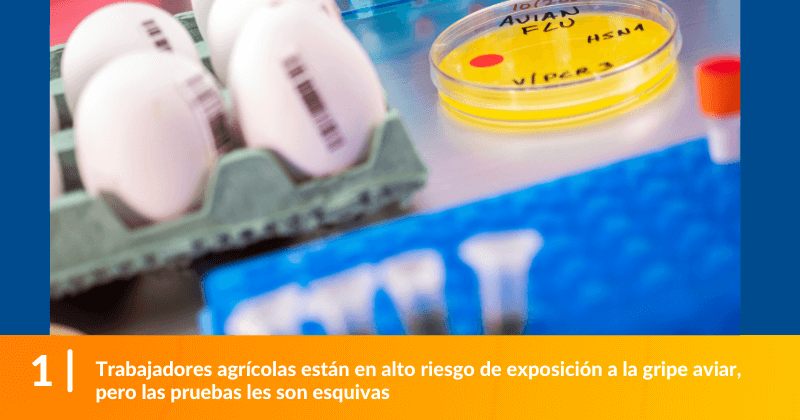 Trabajadores agrícolas están en alto riesgo de exposición a la gripe aviar, pero las pruebas les son esquivas.
