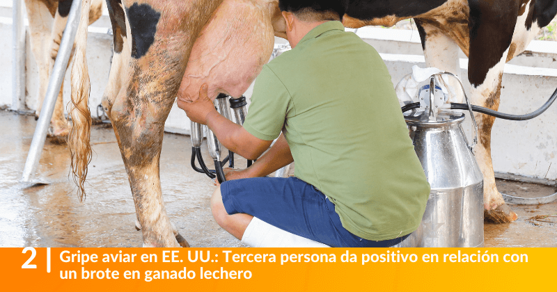 Tercera persona da positivo en relación con un brote en ganado lechero.