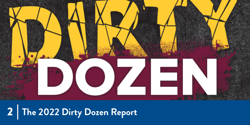2022 Dirty Dozen Report
