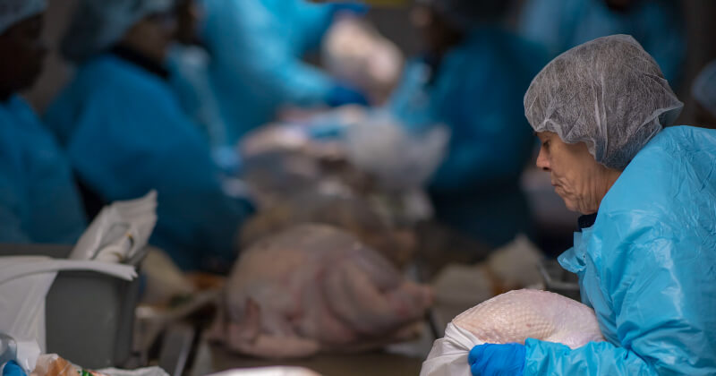 A worker packs poultry