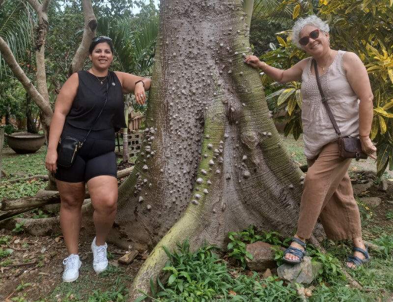 MCN's Deliana Garcia and Marysel Pagán Santana stand next to a tree.
