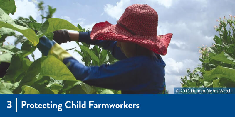 A child farmworker