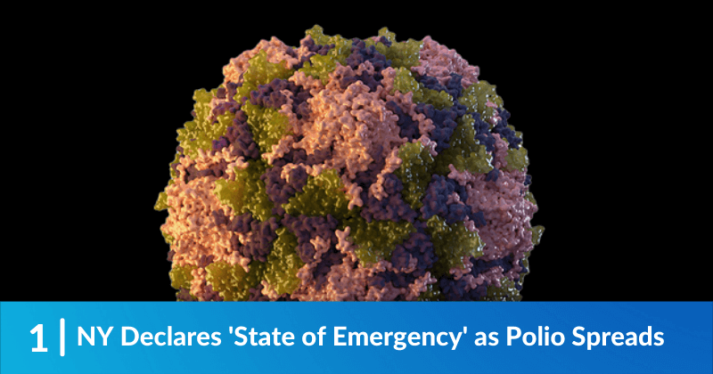 Model of Polio virus